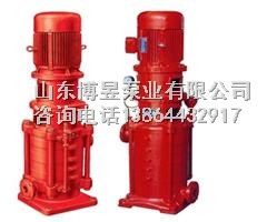 消防泵圖片/消防泵樣板圖 (3)