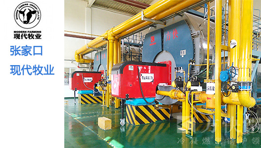 學(xué)校供暖熱水鍋爐 酒店洗浴供暖熱水鍋爐 廠家直銷