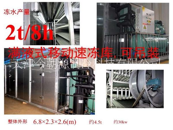 2吨速冻集装箱冷库_可移动速冻库_可吊装冷柜速冻库图片