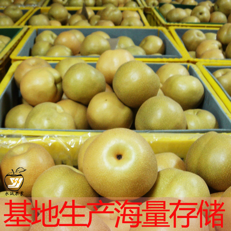 豐水梨代收 豐水梨代收綠寶石梨豐水梨黃金 豐水梨代收綠寶石梨豐水梨黃金梨