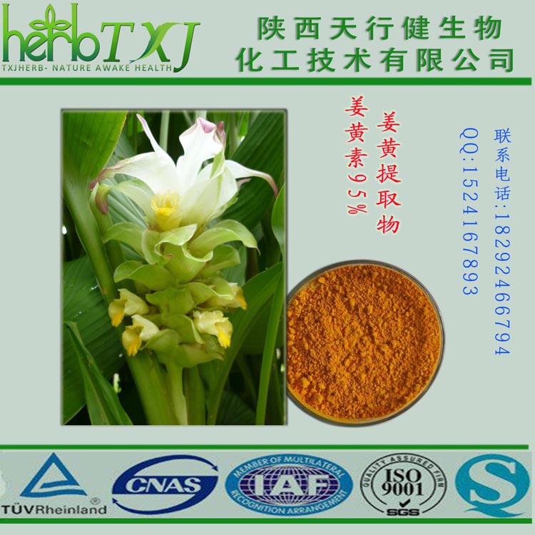廠家供應(yīng) 天然色素姜黃提取物  姜黃素