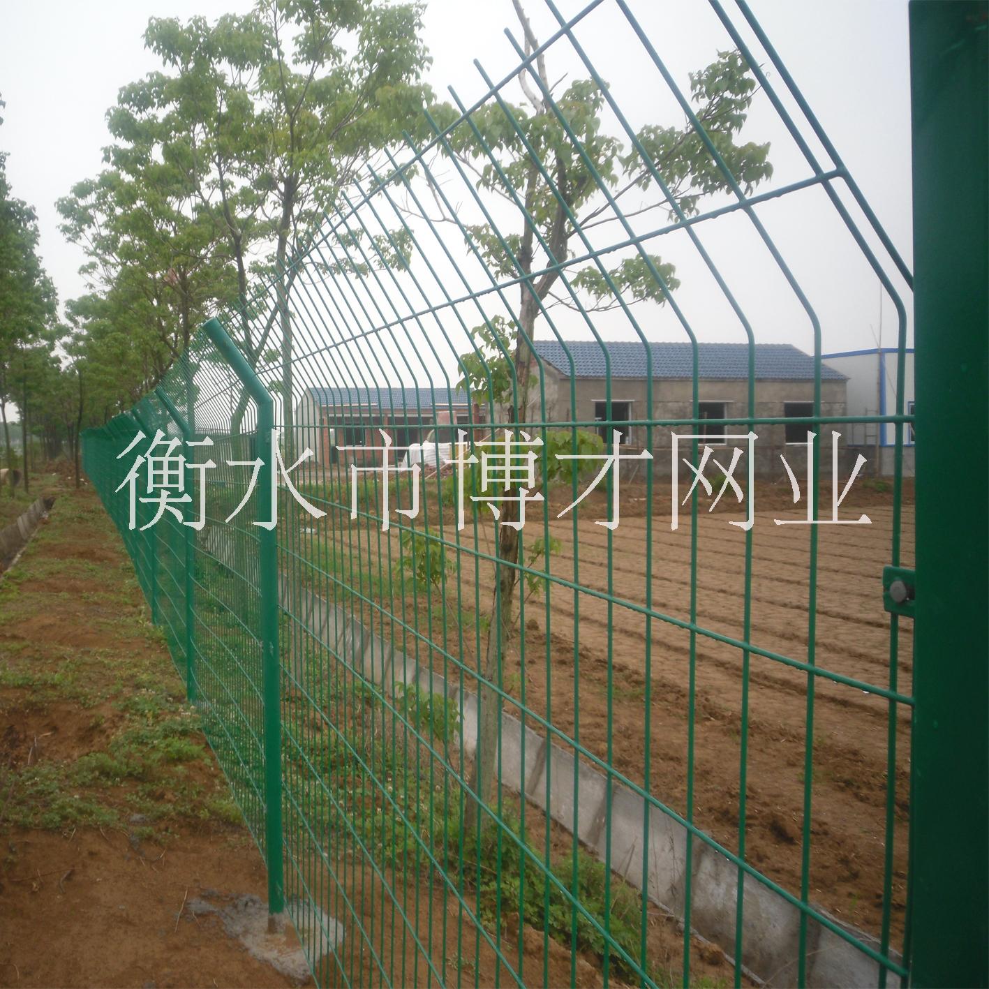 鐵絲網(wǎng)圖片/鐵絲網(wǎng)樣板圖 (4)