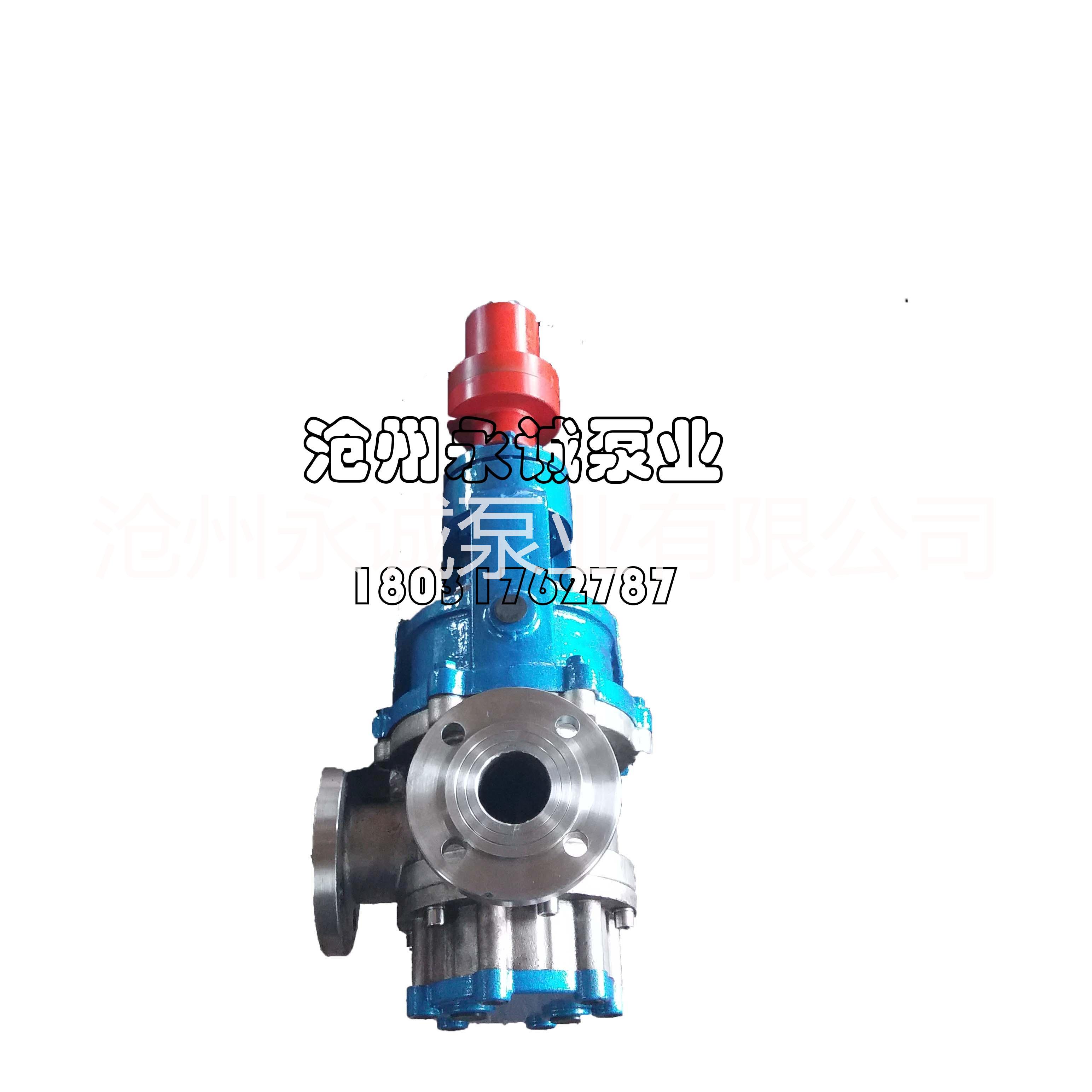 高粘度轉(zhuǎn)子泵圖片/高粘度轉(zhuǎn)子泵樣板圖 (1)