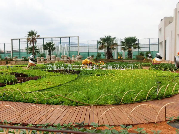 特色房頂農(nóng)場(chǎng)規(guī)劃設(shè)計(jì)施工圖片/特色房頂農(nóng)場(chǎng)規(guī)劃設(shè)計(jì)施工樣板圖 (2)