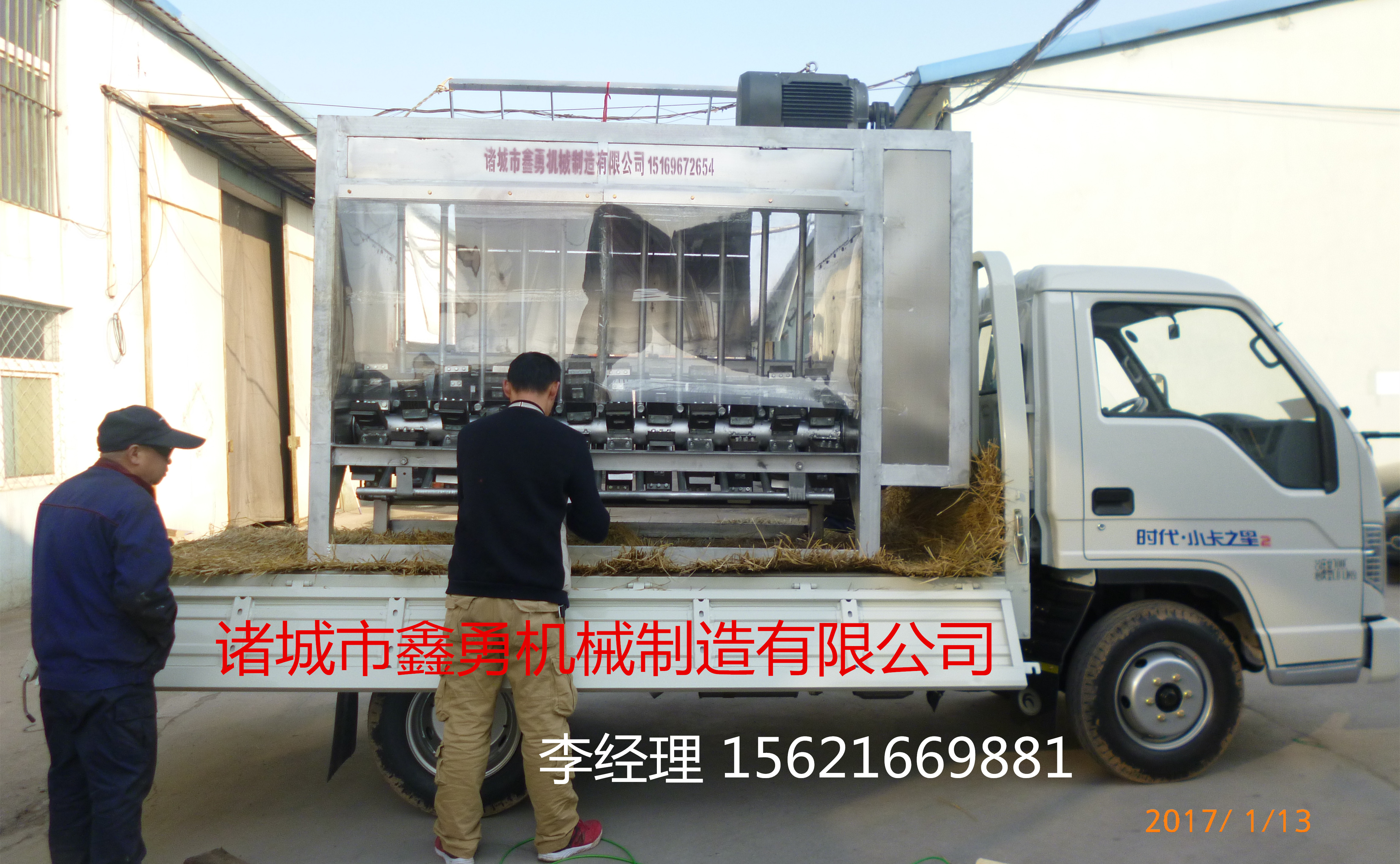 生豬圖片/生豬樣板圖 (1)