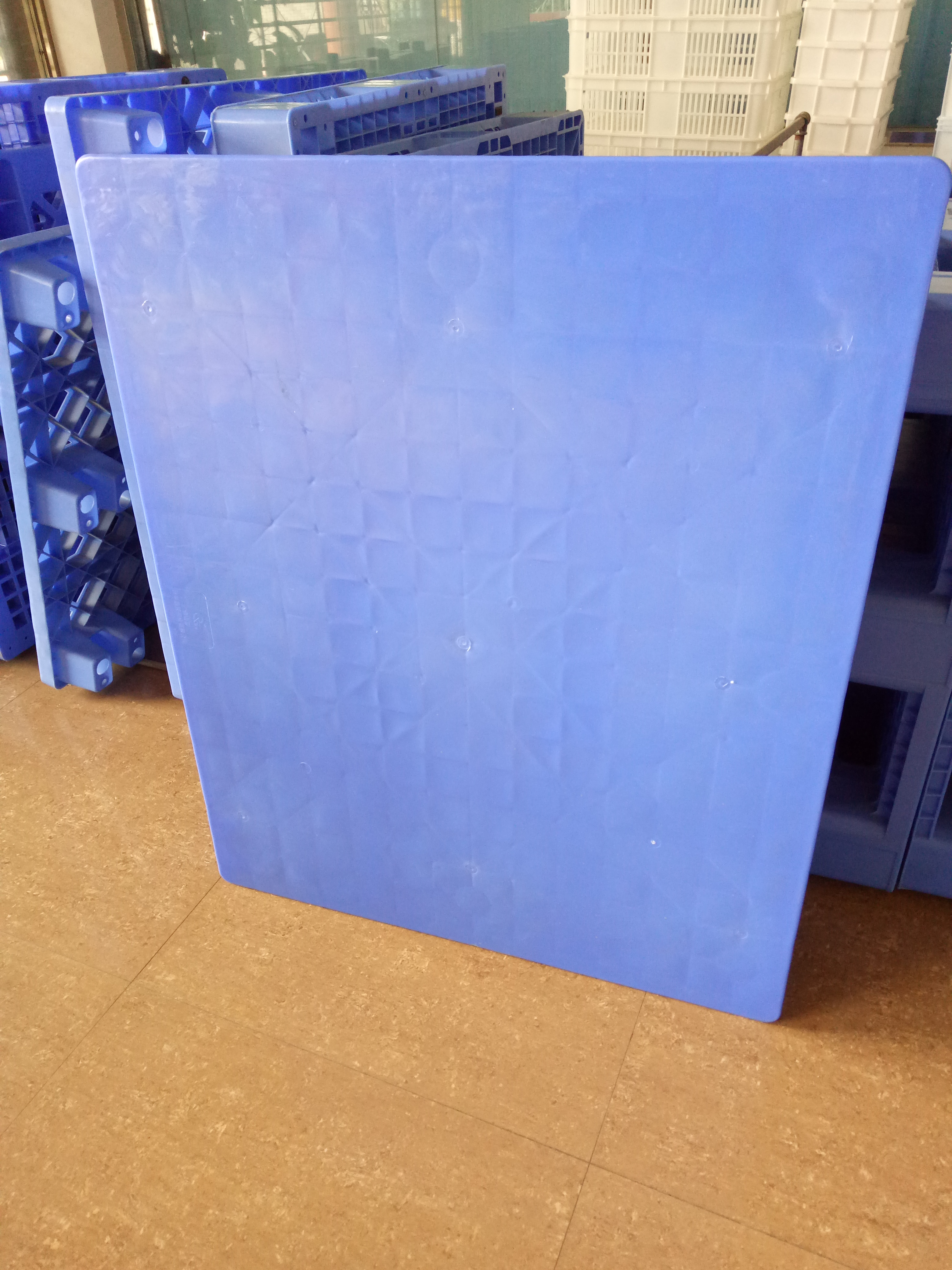 塑料托盤圖片/塑料托盤樣板圖 (4)