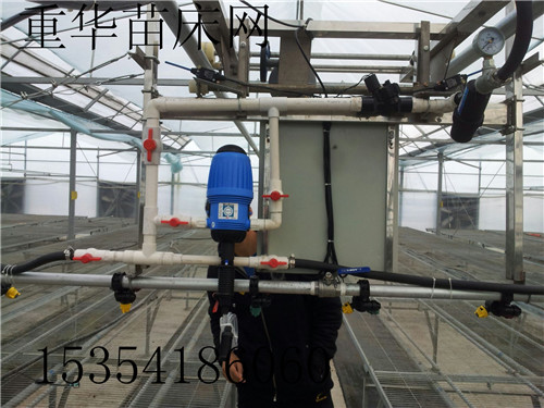 育苗床圖片/育苗床樣板圖 (3)