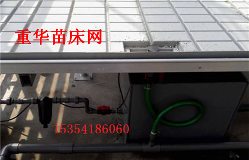 潮汐苗床圖片/潮汐苗床樣板圖 (3)