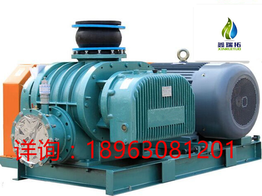 羅茨風(fēng)機(jī)羅茨真空泵羅茨風(fēng)機(jī)價(jià)格圖片