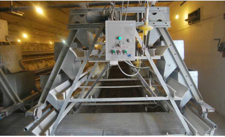 肉雞籠圖片/肉雞籠樣板圖 (4)