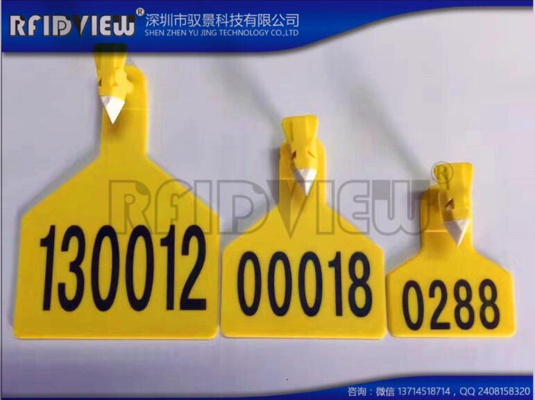 豬耳標圖片/豬耳標樣板圖 (3)