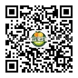 鮮果圖片/鮮果樣板圖 (2)