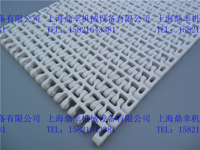 1100塑料網(wǎng)帶圖片