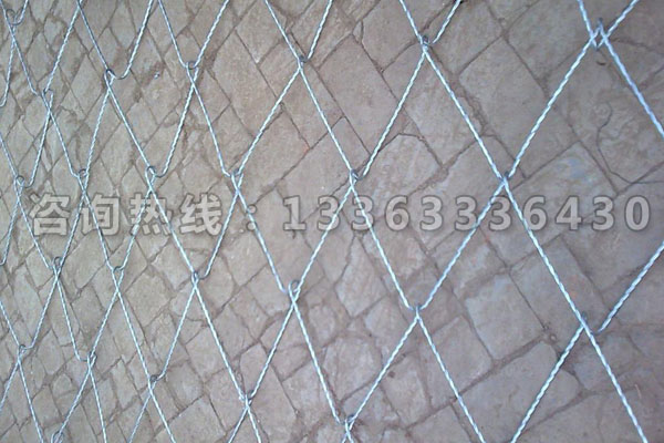 絞索網(wǎng)SPIDER網(wǎng)系統(tǒng)圖片/絞索網(wǎng)SPIDER網(wǎng)系統(tǒng)樣板圖 (1)