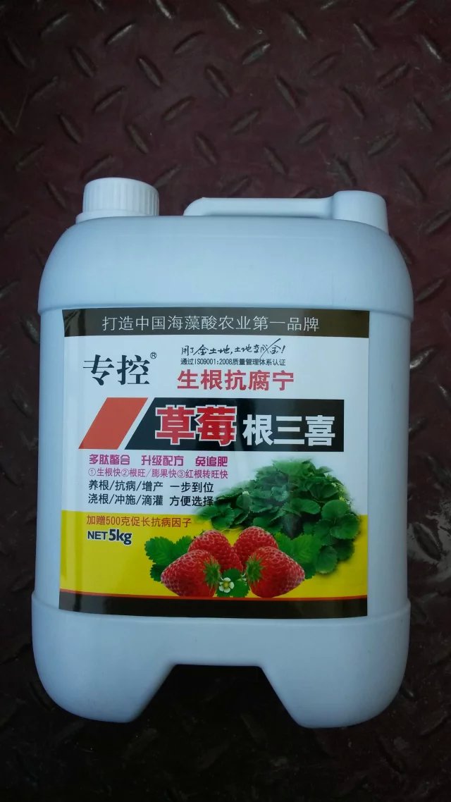 草莓根三喜防治草莓爛根圖片/草莓根三喜防治草莓爛根樣板圖 (1)