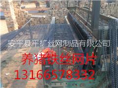 豬腳圖片/豬腳樣板圖 (3)