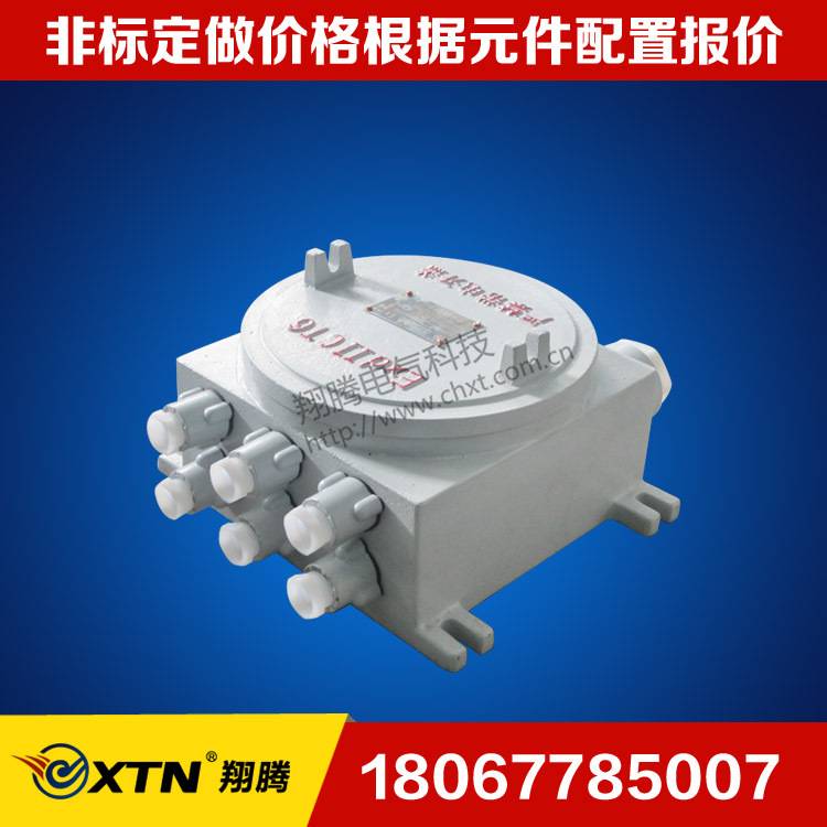 防爆接線盒圖片/防爆接線盒樣板圖 (1)