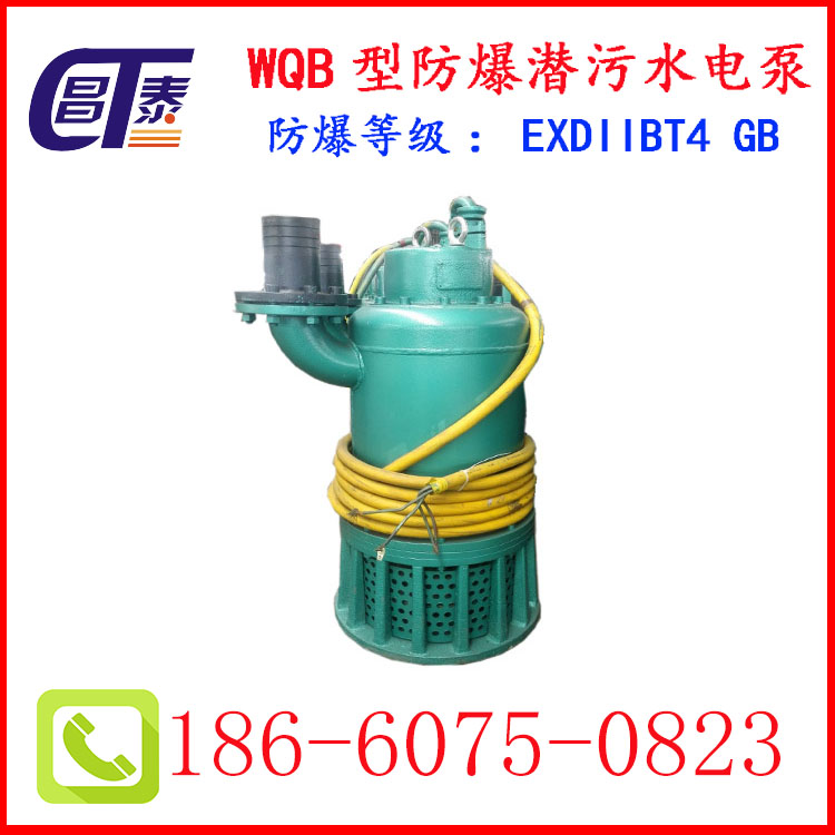 江西 WQB系列防爆排污潛水泵 排污排沙泵 無(wú)堵塞 安全* 廠(chǎng)家 報(bào)價(jià)
