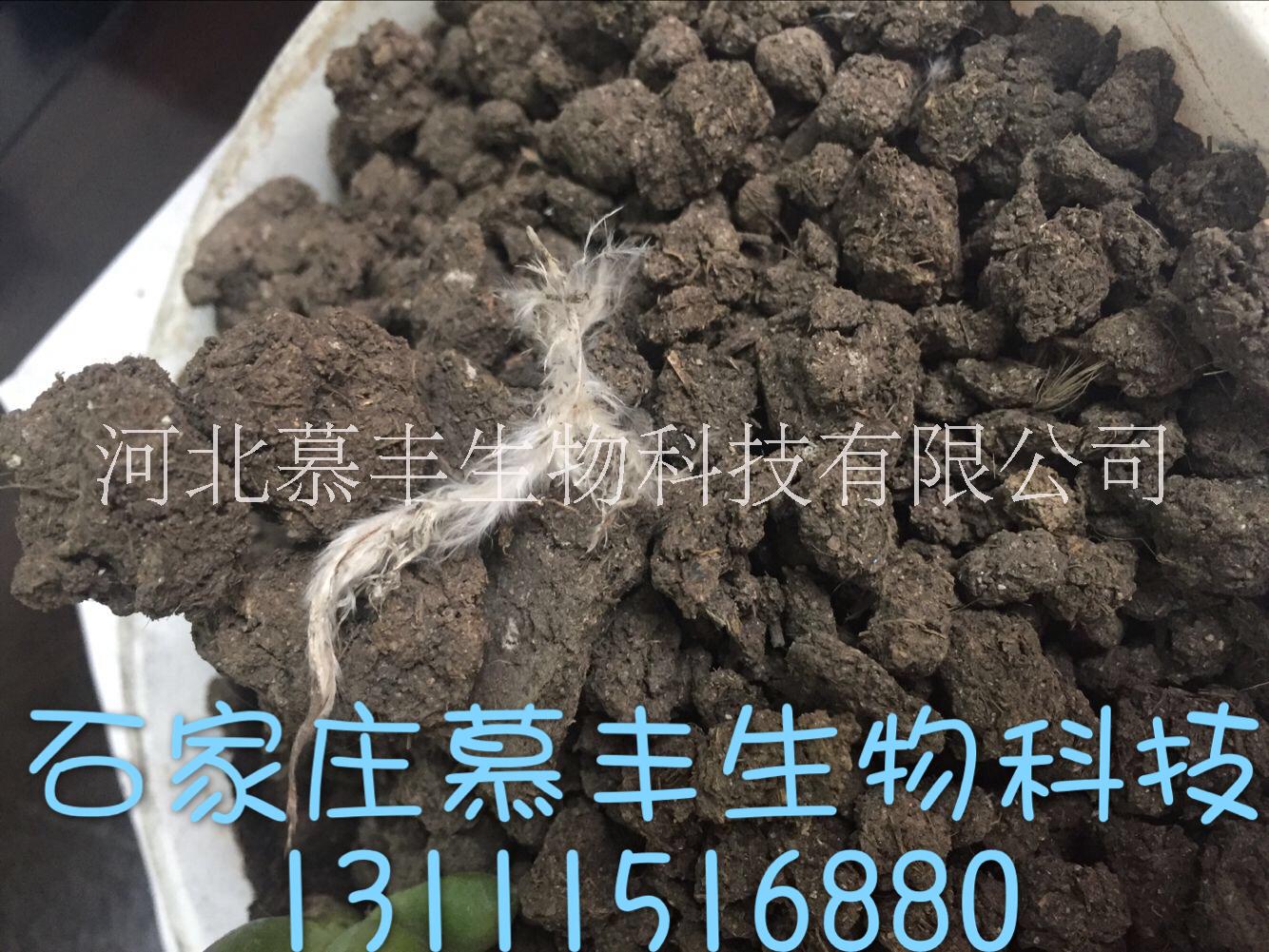 山东干鸡粪 鸡粪发酵有机肥 猪粪