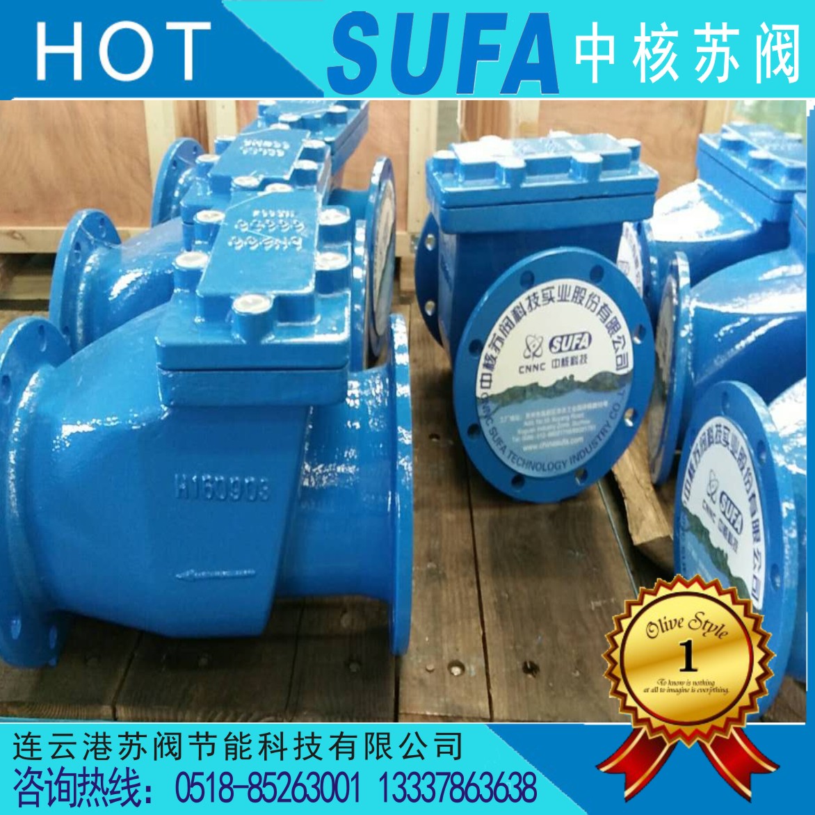 中核蘇閥 品牌閥門(mén)銷(xiāo)售廠(chǎng)家