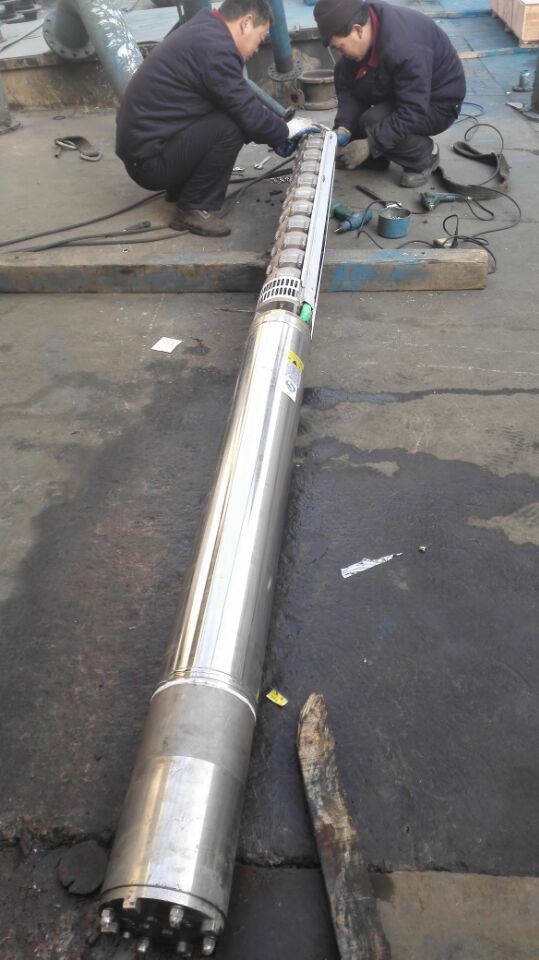 耐腐蝕礦用潛水泵圖片/耐腐蝕礦用潛水泵樣板圖 (3)