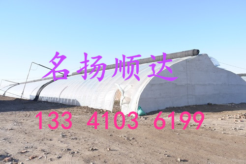 北京蔬菜大棚溫室圖片/北京蔬菜大棚溫室樣板圖 (4)