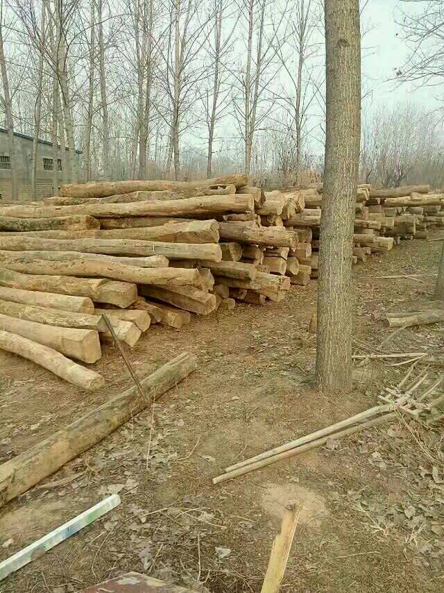 老榆木價格￥老榆木照片