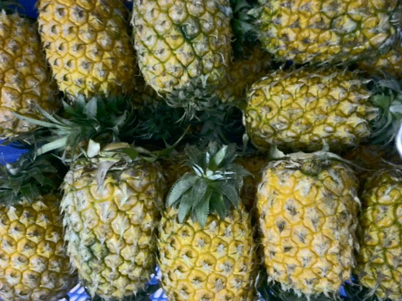 黃埔蔬菜配送公司、黃埔食材配送，紅豆蔬菜配送更專業(yè)、更實在的