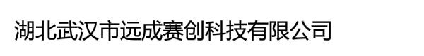 湖北武汉市远成赛创科技有限公司