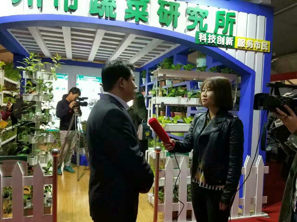 2017第六屆鄭州國際花卉園藝展圖片/2017第六屆鄭州國際花卉園藝展樣板圖 (1)