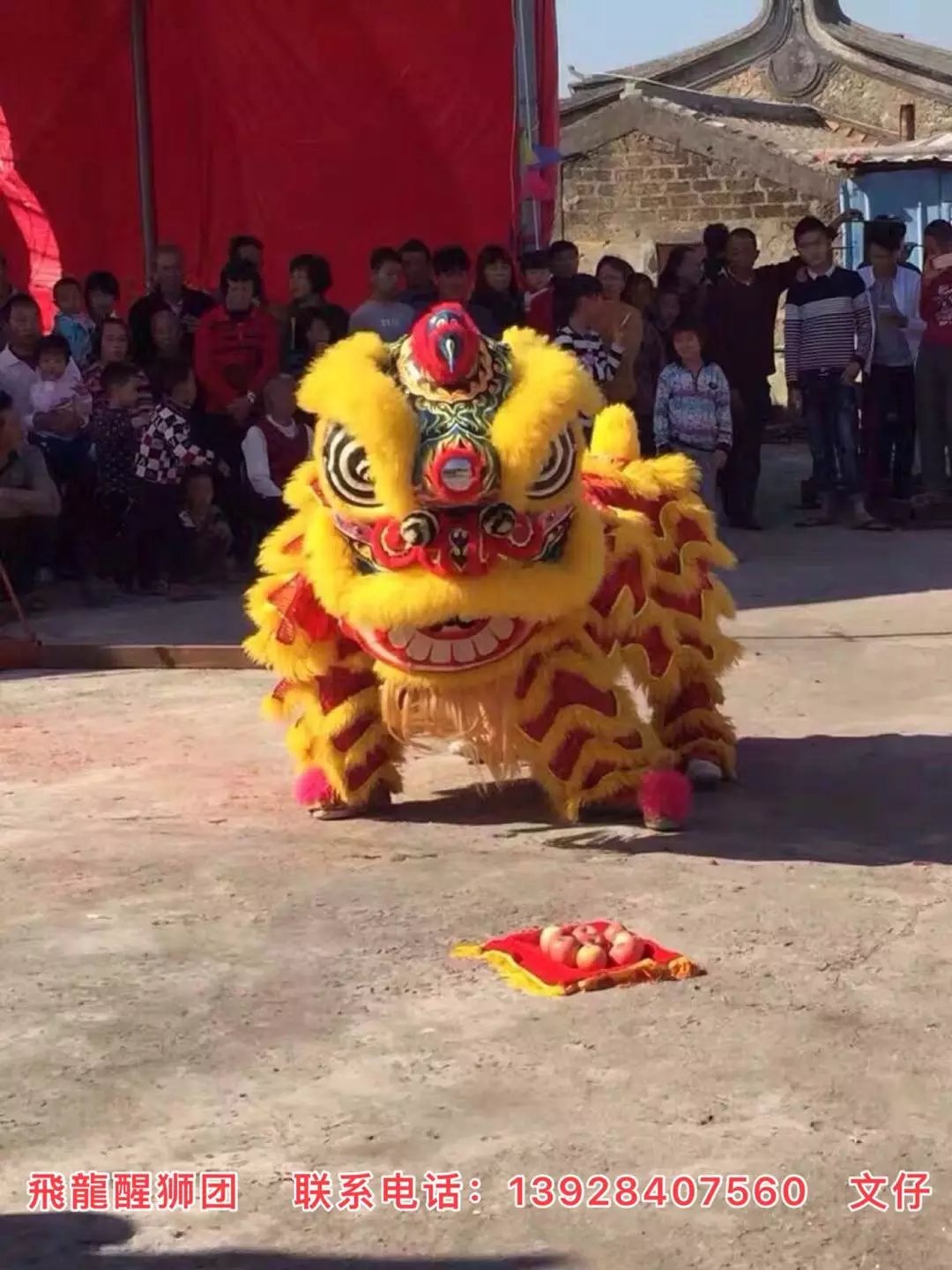 舞獅舞龍 **醒獅