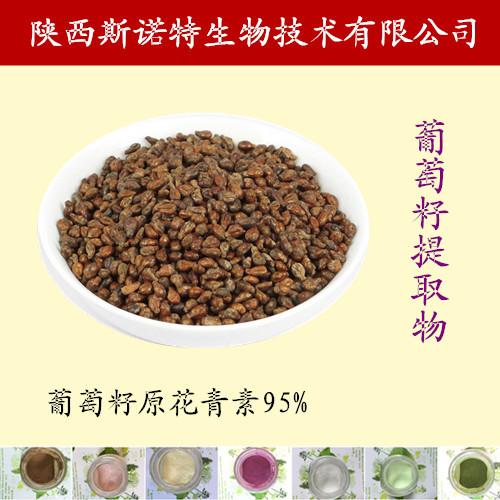 葡萄籽提取物 葡萄籽提取物粉廠家直銷 葡萄籽提取物粉廠家直銷