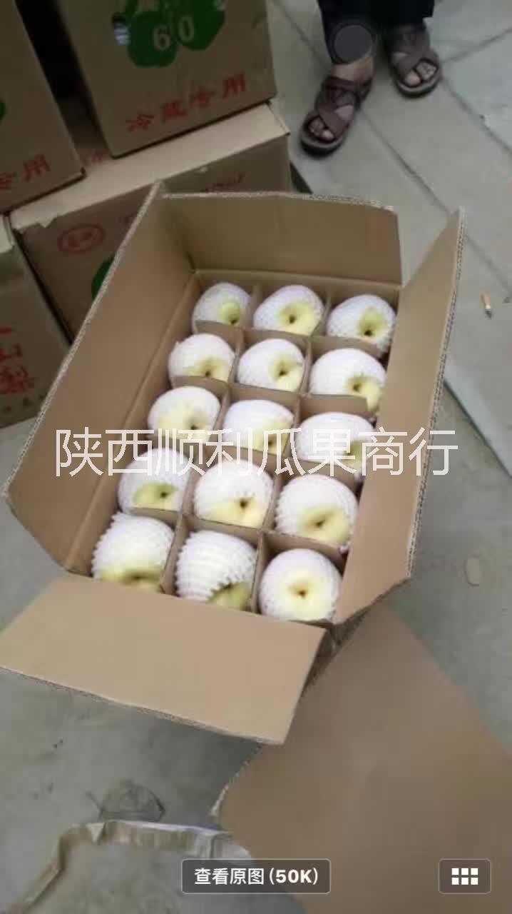 產(chǎn)地直銷圖片/產(chǎn)地直銷樣板圖 (4)