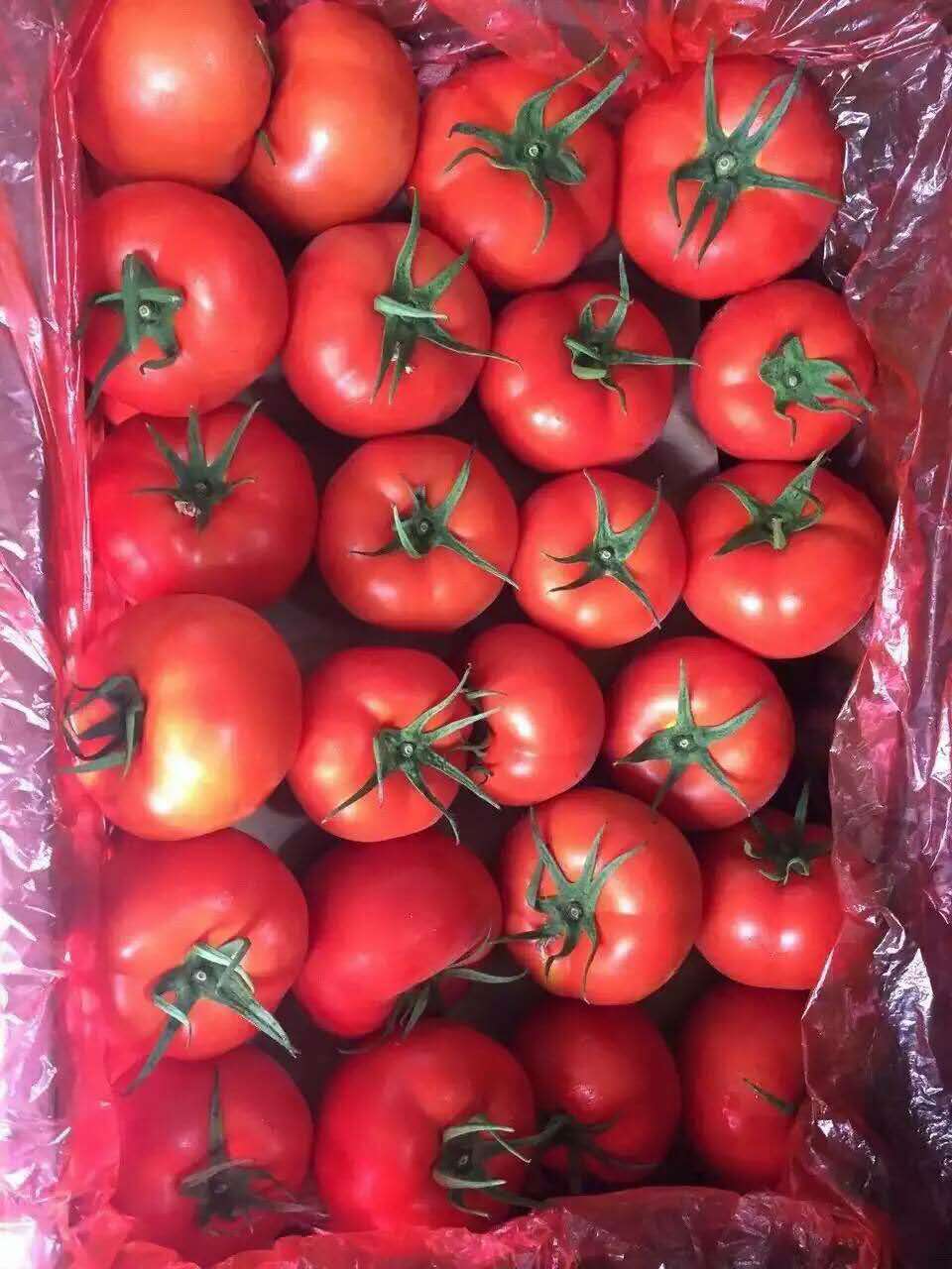 蘿崗蔬菜配送公司、蘿崗食材配送~就找廣州紅豆蔬菜配送有限公司