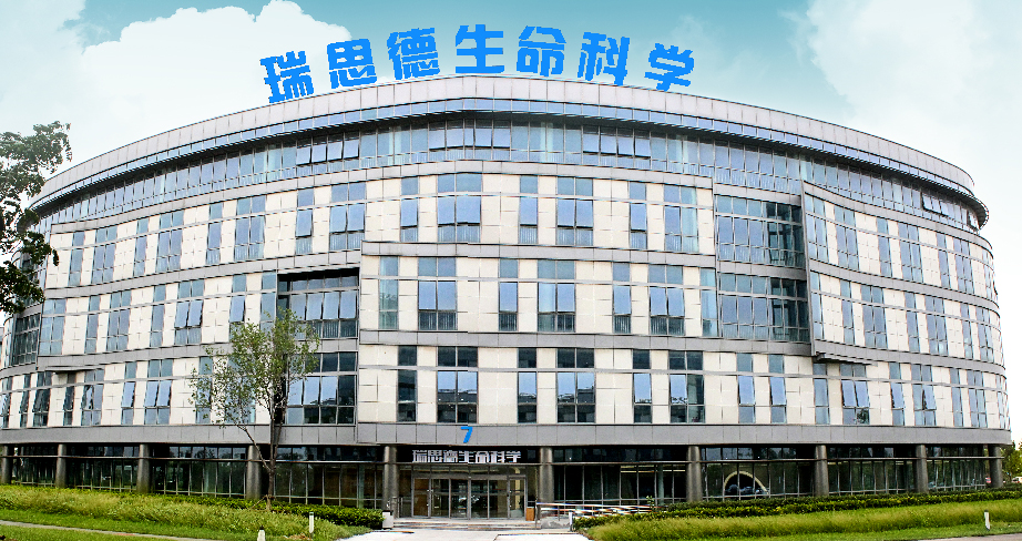 干細(xì)胞——為皮膚注入不老之源