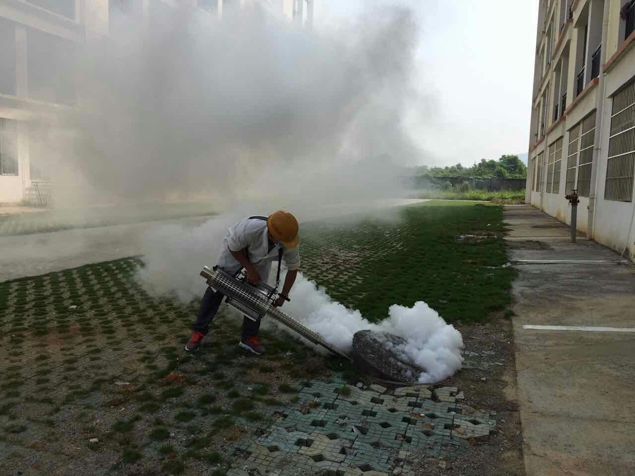 百色白蟻裝修哪家專(zhuān)業(yè)圖片