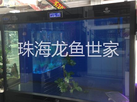 超白玻璃魚缸圖片/超白玻璃魚缸樣板圖 (4)