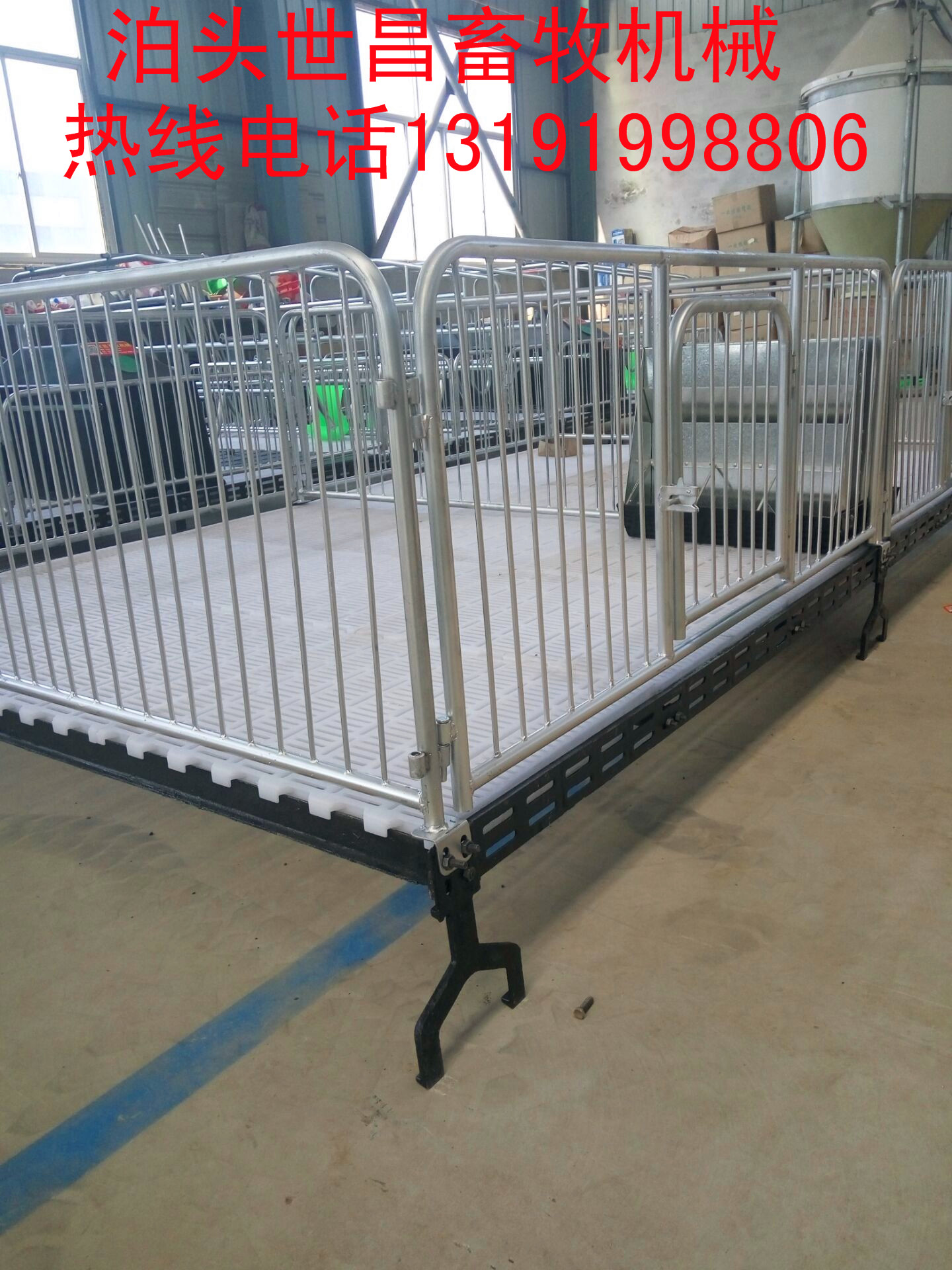 豬保育床圖片/豬保育床樣板圖 (2)