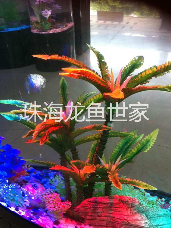 順德魚缸 大型魚缸訂制 玻璃魚缸 珊瑚魚缸