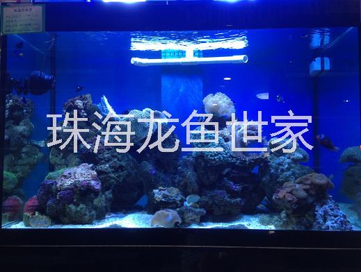 珠海亞克力魚缸批發(fā)零售圖片/珠海亞克力魚缸批發(fā)零售樣板圖 (3)