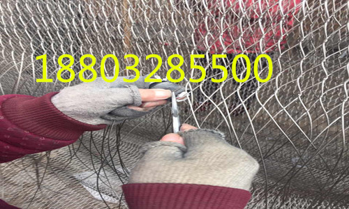 不銹鋼繩網(wǎng)圖片/不銹鋼繩網(wǎng)樣板圖 (2)