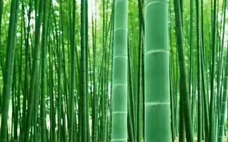 美飾集成墻板生態(tài)木圖片