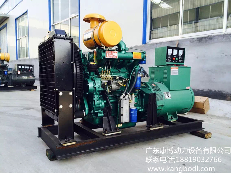 濰柴發(fā)電機(jī)圖片/濰柴發(fā)電機(jī)樣板圖 (2)