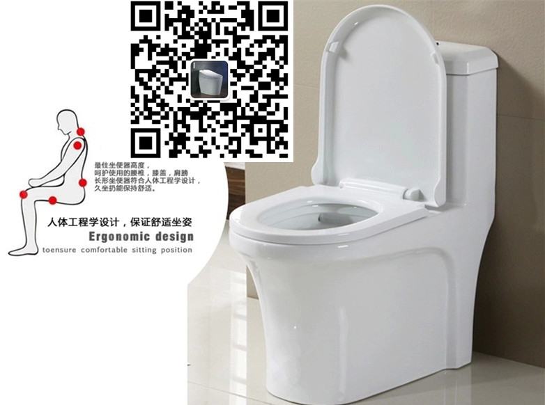 座便器圖片/座便器樣板圖 (1)