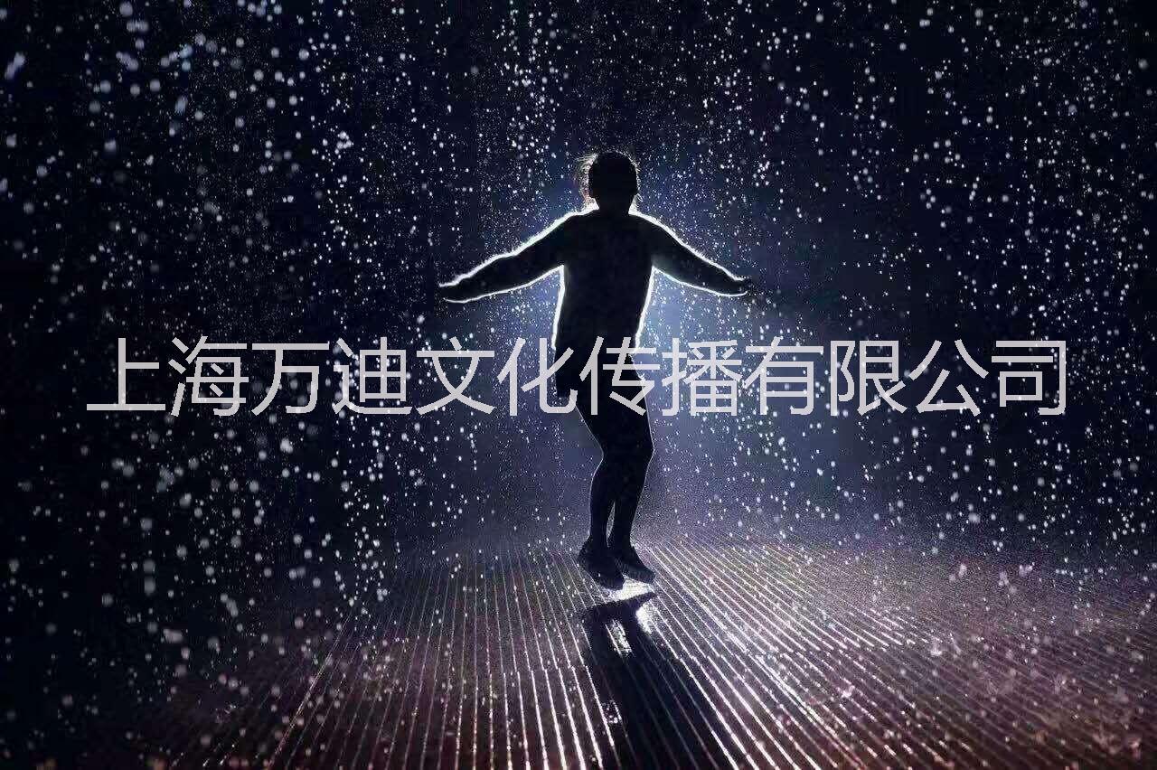 上海机械大象出租，机械大象出租