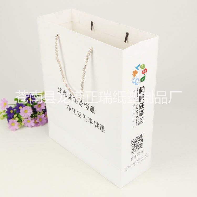 精美服裝紙袋批發(fā)圖片/精美服裝紙袋批發(fā)樣板圖 (1)