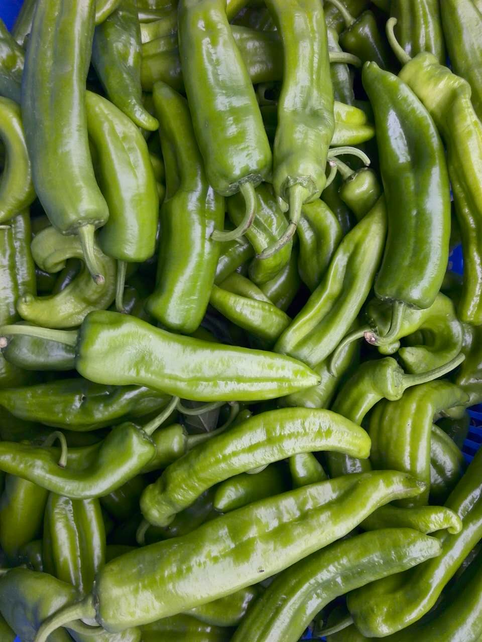 天河區(qū)送菜公司、天河蔬菜配送公司圖片