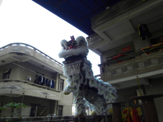 廣東專業(yè)舞龍舞獅