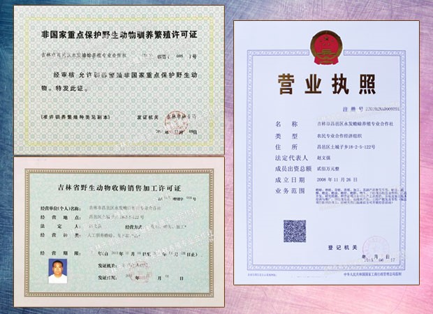 蟾蜍養(yǎng)殖技術(shù)圖片/蟾蜍養(yǎng)殖技術(shù)樣板圖 (2)