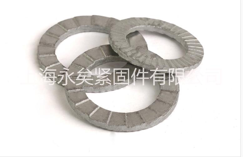 自鎖墊圈圖片/自鎖墊圈樣板圖 (2)
